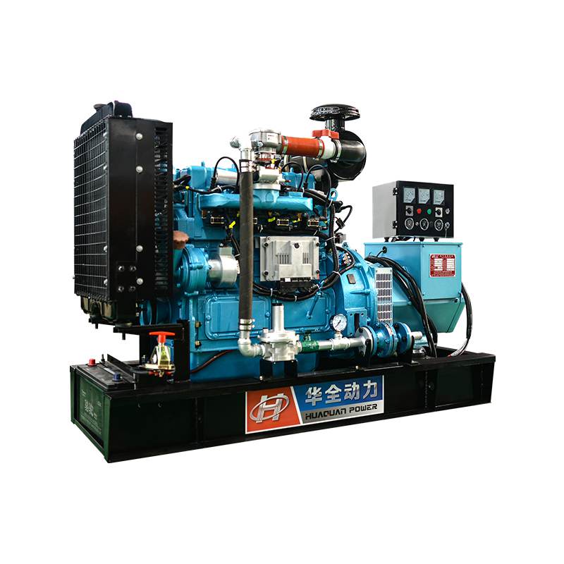 Ricardo 20kw gas generator set home use natural gas or biogas genset