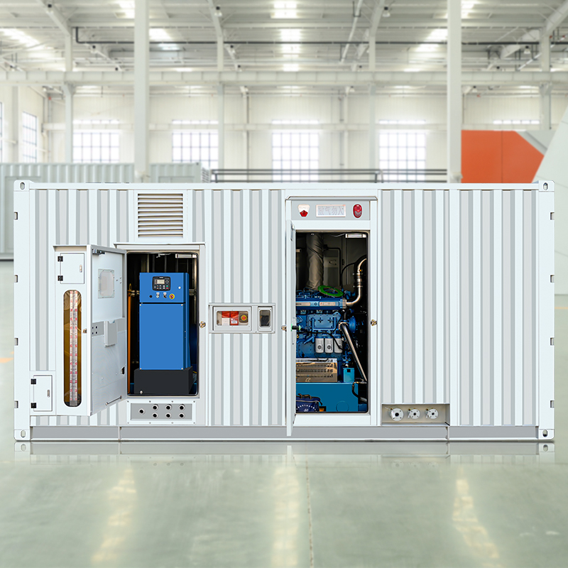 What factors affect the price of a 1000kw container generator?